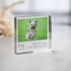 OEM Acrylic Photo Frame Gifts للاحتفالات بالذكرى السنوية 