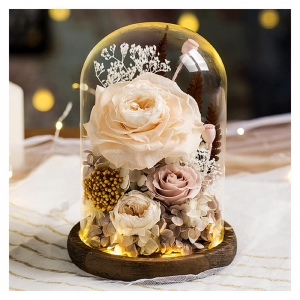 غطاء قبة بلاستيكي شفاف