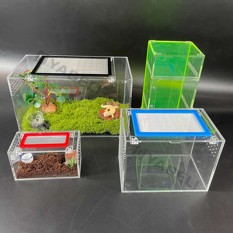 Industry Insight: Acrylic Pet Enclosures Redefine Display & Function for Exotics and Small Pets